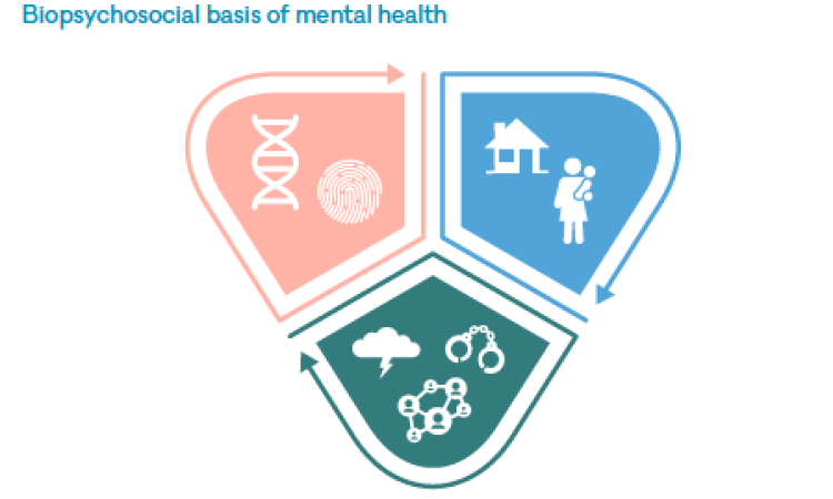 Biopsychosocial basis of mental health graphic